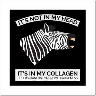 Ehlers Danlos Awareness It's Not In My Head Posters and Art